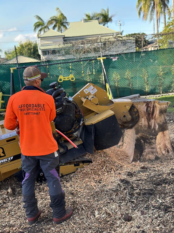 Stump Grinding Service