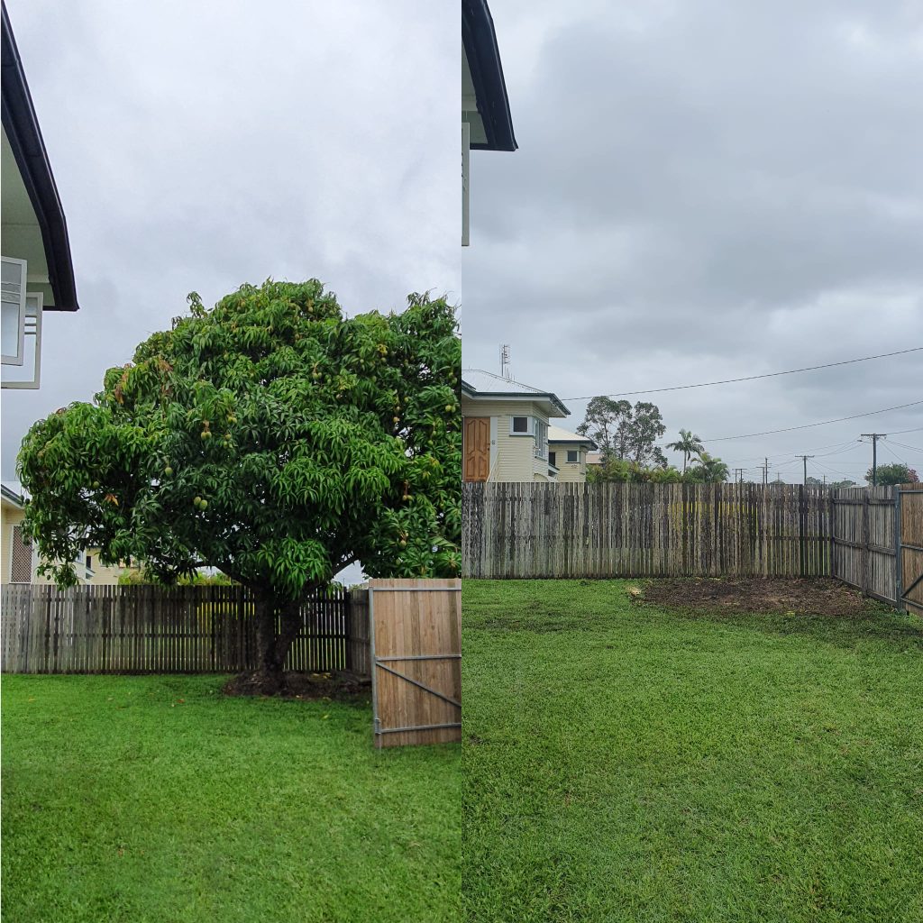 cheap tree removal in Hervey Bay