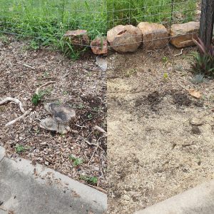 how to remove a tree stump