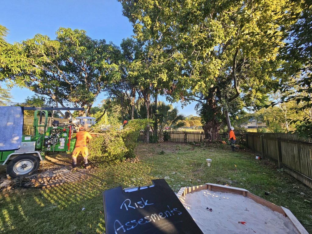 Affordable Tree Specialists - Tree Cutting Services (73)